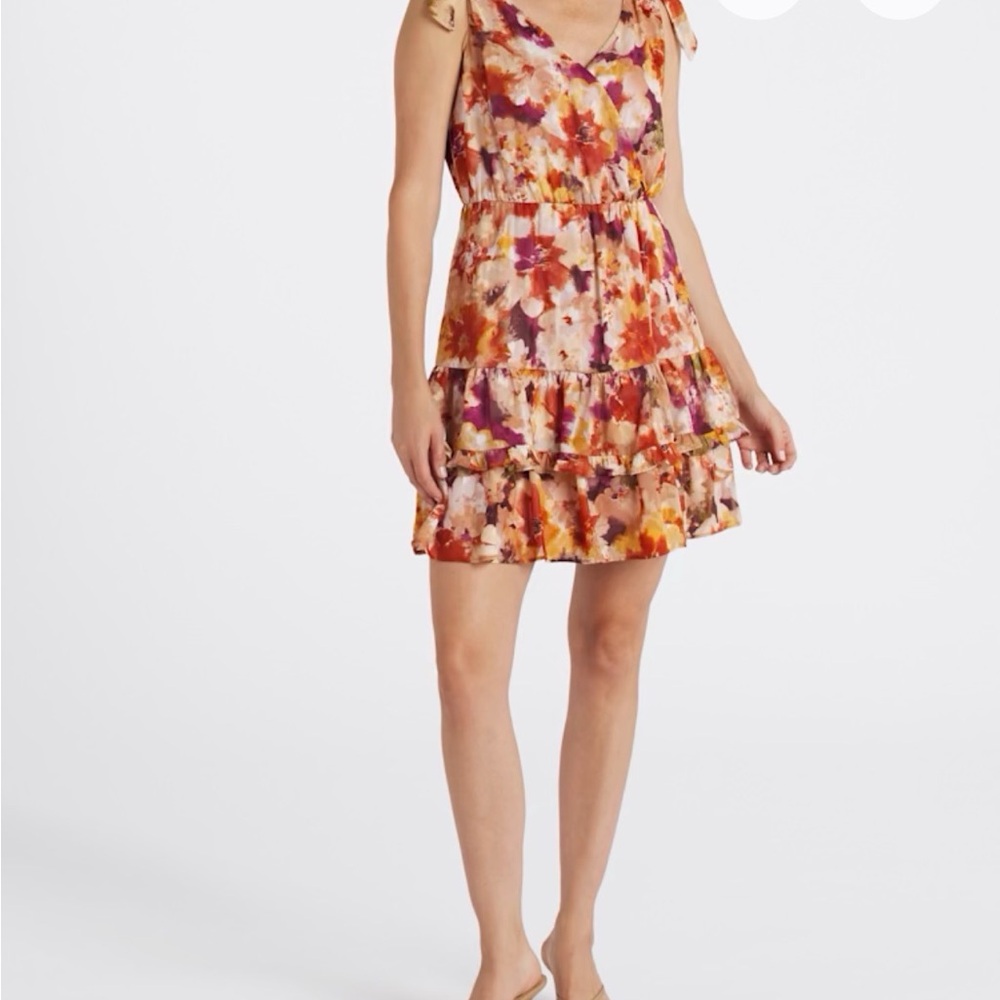 The General Good (Stitch Fix) Floral Sleeveless Dress size XL